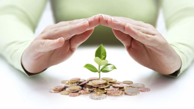 Investment Strategies